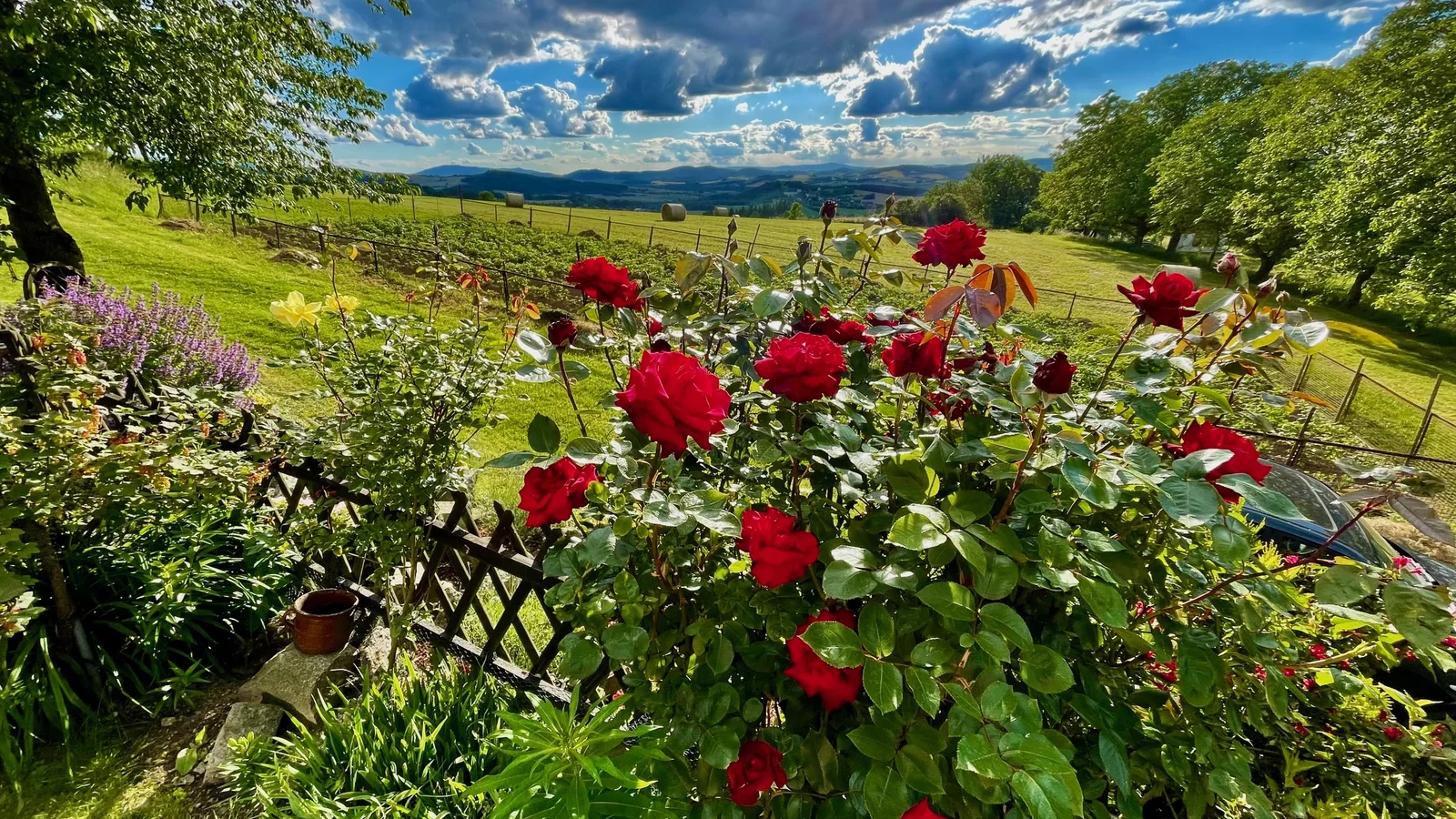 View from the cottage garden over the Šumava foothills