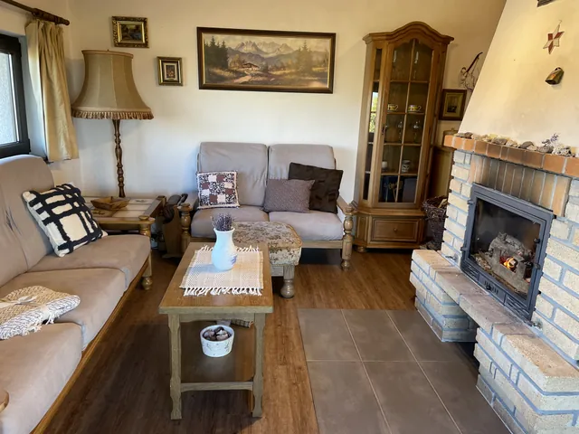 Living room with a sofa and wood-burning stove
