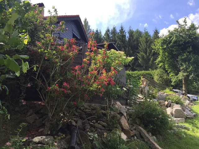Summer garden at the cottage