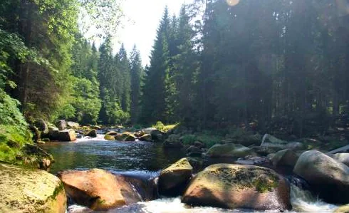 Řeka Vydra na naučné stezce Povydří