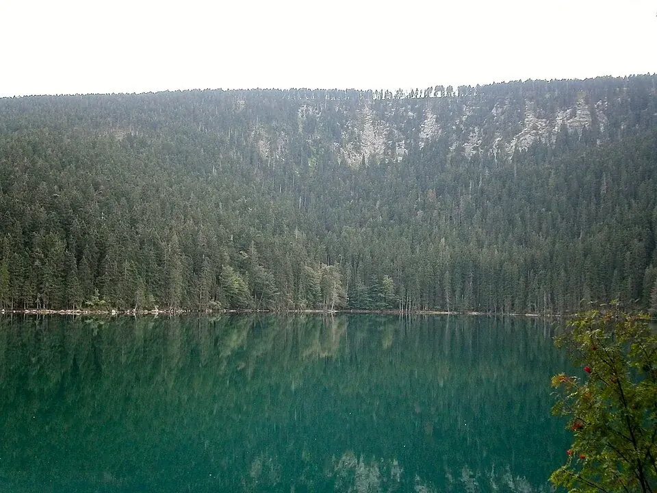 Černé jezero pod zalesněnou jezerní stěnou