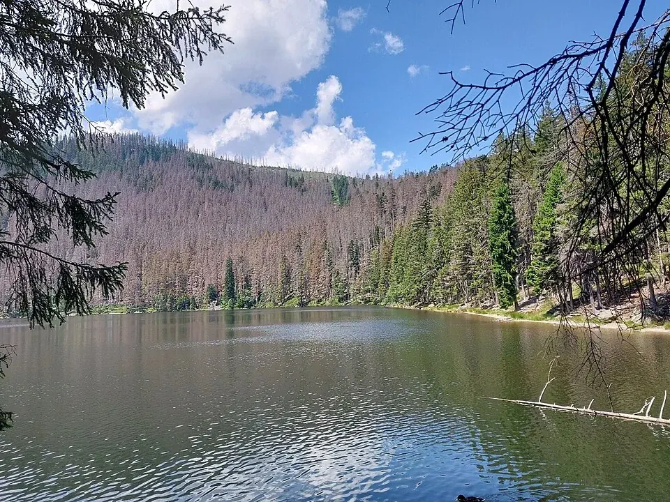 Čertovo jezero obklopené šumavskými lesy